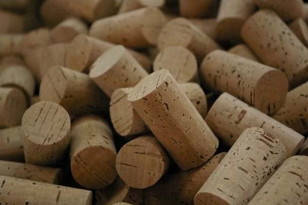 Τα πετάτε στα σκουπίδια; Μάλλον δεν τα έχετε εκτιμήσει σωστά – Όταν τα χρειαστείτε θα τα ψάχνετε!